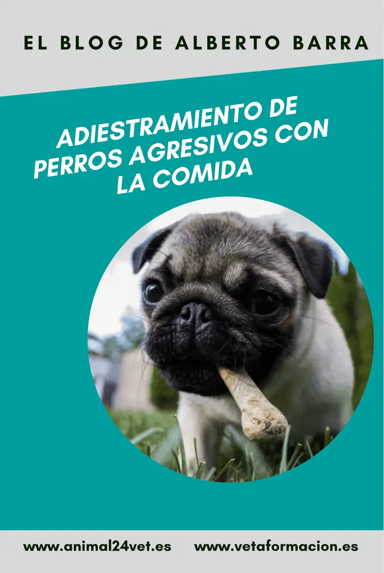 Adiestramiento en perros agresivos con la comida