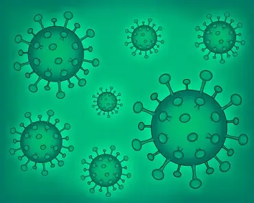 Contagio de la panleucopenia felina