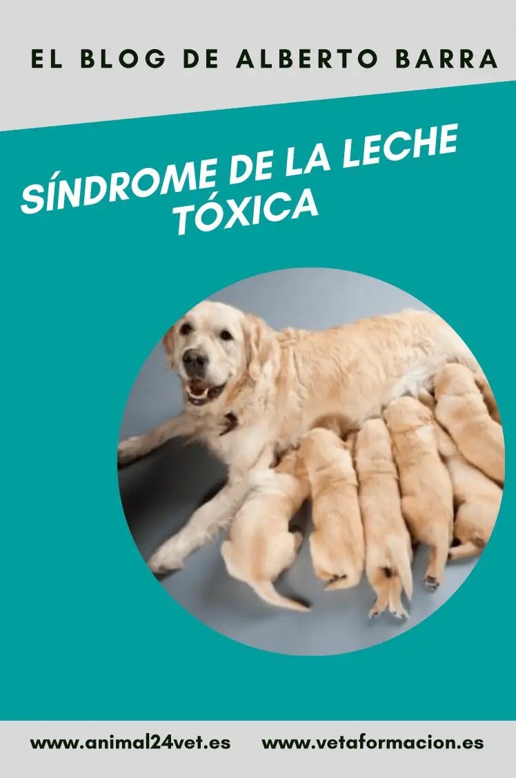 Síndrome de la leche tóxica