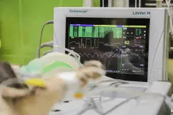 Tratamiento para peritonitis felina