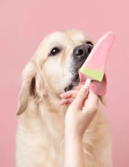 Helados para perros